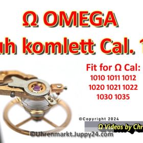 Omega Unruh Omega 1010-1030 komplett mit Unruhkolben, Welle, Incabloc usw. Videoanzeige! Cal. 1010 1011 1012 1020 1021 1022 1030 1035 